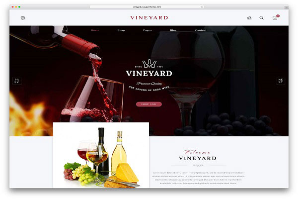 thiết kế website bán rượu 2